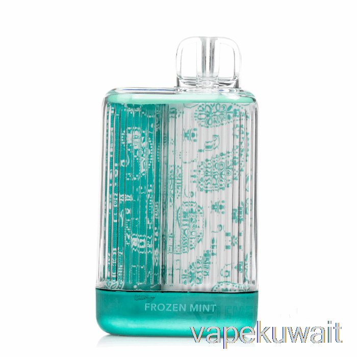 مجموعة كبسولات الـvape بالنعناع المجمد القابل للتصرف 7000 من Fog X Clarity